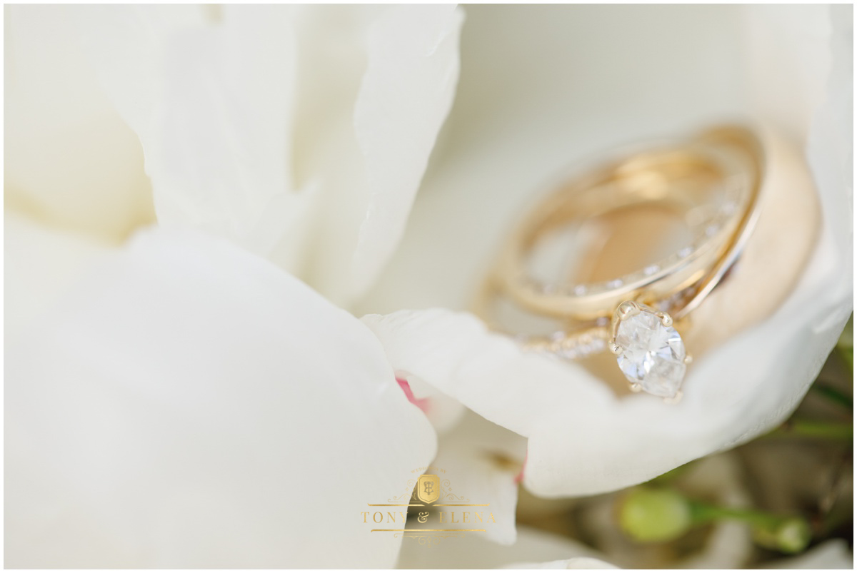austin wedding photographer ivory oak rings